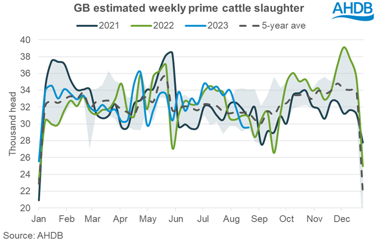 Chart showing weekly estimated slaughter of prime cattle in GB